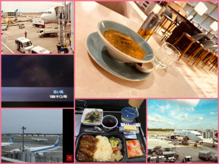 166 SIN > NRT